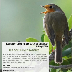Las aves migratorias